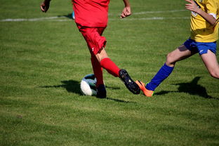 九游APP官网-五大联赛是否推动球员通过站位节奏学习适应战术切换，五大联赛地位